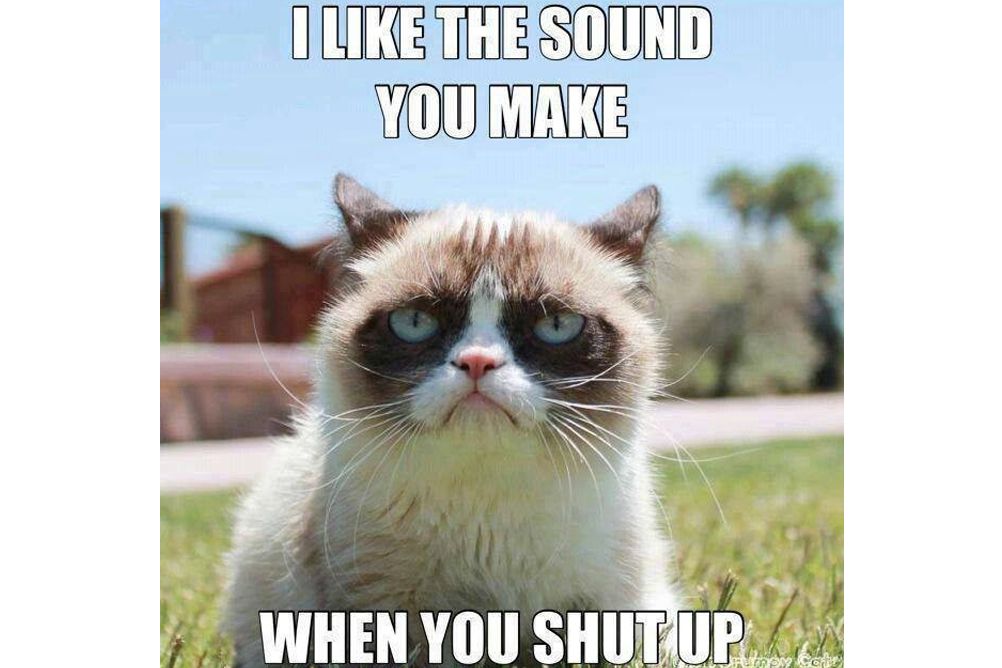 Cat: I Like the Sound You Make When You Shut Up