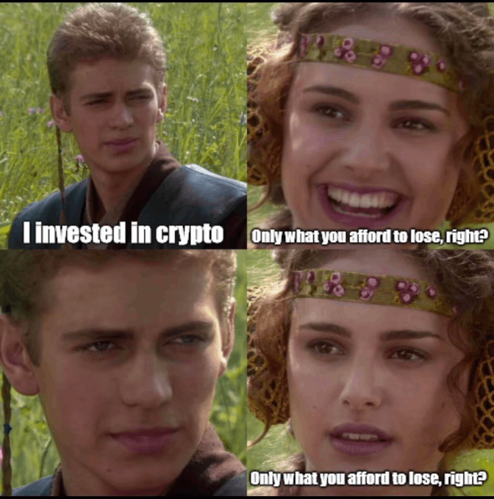 I invested in Crypto, -Only what you afford to lose, right?