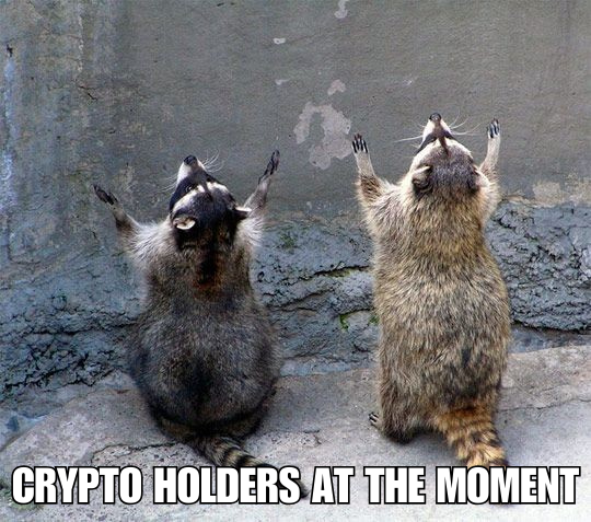 Crypto Holders at the Moment