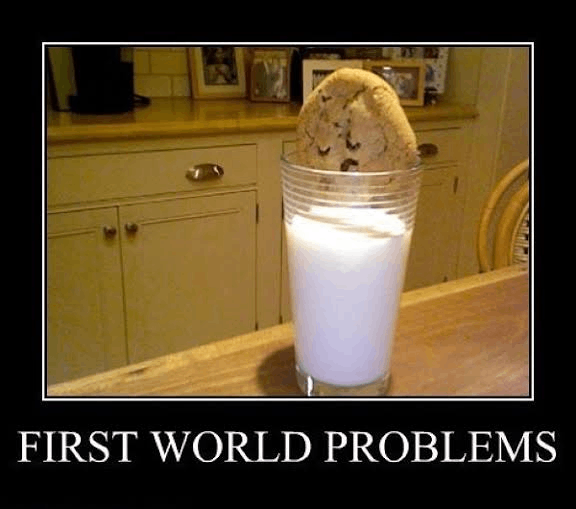 First World Problems Cookie