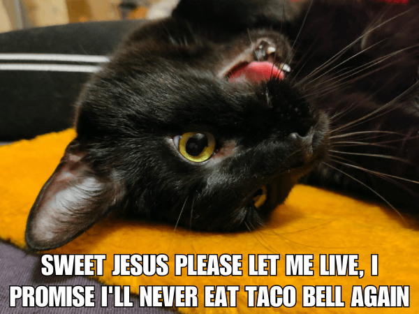 Sweet Jesus Please Let Me Live, I Promise I'll Never Eat Taco Bell Again