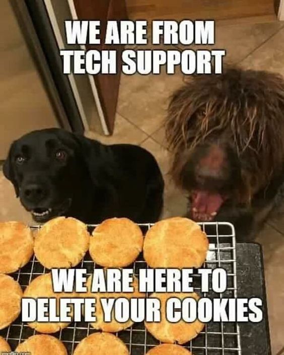 Tech Support: We Are Here To Delete Your Cookies