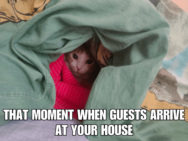 That Moment When Guests Arrive at Your House