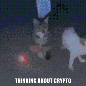 Thinking About Crypto GIF