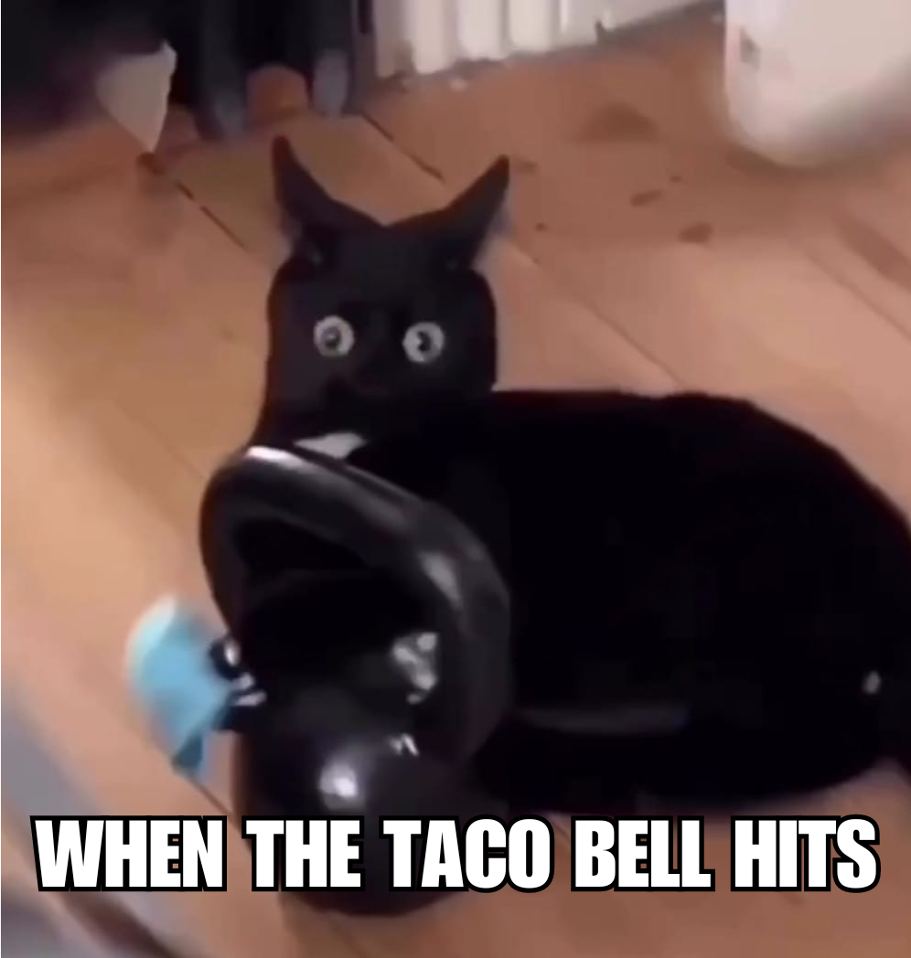 When The Taco Bell Hits - Cat