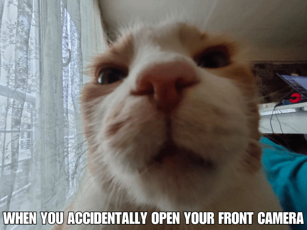 Cat: When You Accidentally Open Your Front Camera