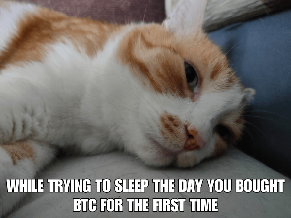 While Trying To Sleep The Day You Bought BTC For The First Time